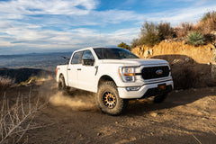 2 Inch Leveling Kit | FOX 2.0 Coil-Over | Ford F150 (21-24) 4WD
