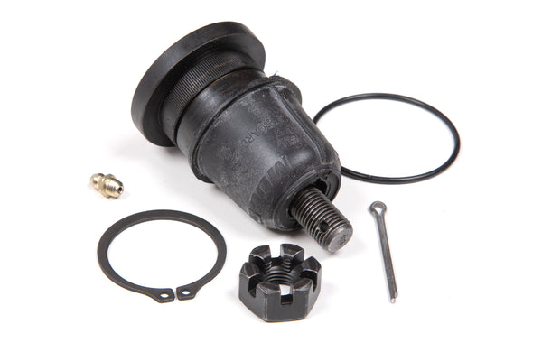 Yourelia　①-1 bds_088200_grande.jpg?v=1752846038